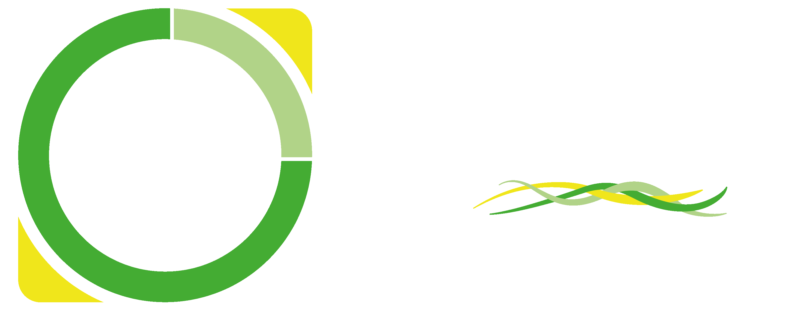logo tous de mèche